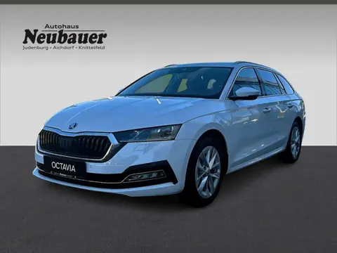 Annonce SKODA OCTAVIA Diesel 2024 d'occasion 