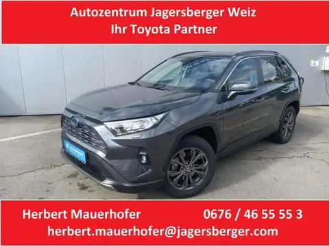 Used TOYOTA RAV4 Petrol 2023 Ad 