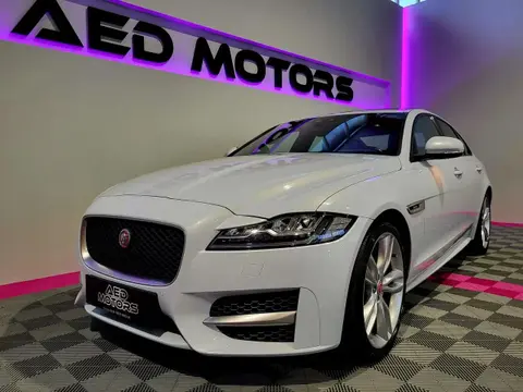 Annonce JAGUAR XF Diesel 2017 d'occasion 