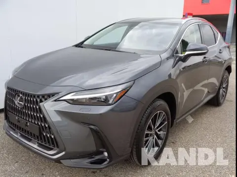 Used LEXUS NX Hybrid 2024 Ad 