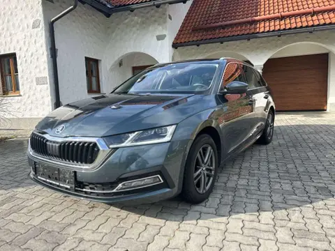 Used SKODA OCTAVIA Diesel 2020 Ad 