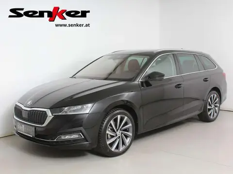 Used SKODA OCTAVIA Diesel 2024 Ad 