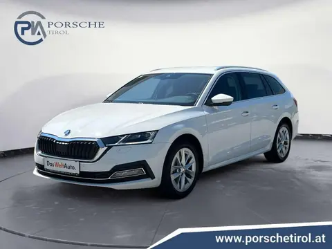 Annonce SKODA OCTAVIA Diesel 2024 d'occasion 