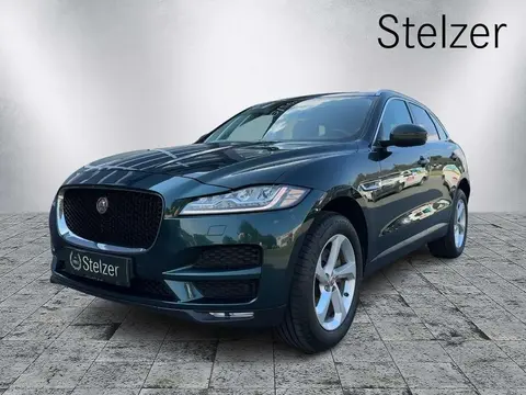 Used JAGUAR F-PACE Petrol 2017 Ad 