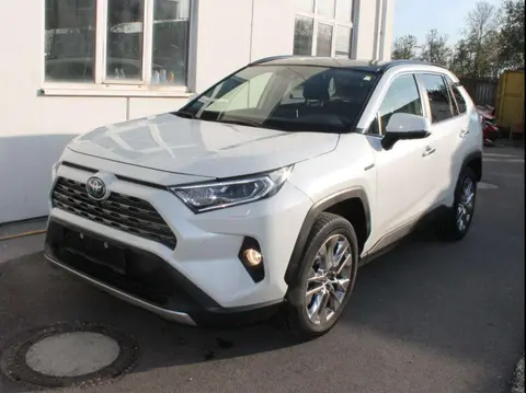 Used TOYOTA RAV4 Hybrid 2022 Ad 