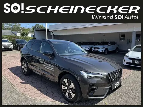 Annonce VOLVO XC60 Hybride 2024 d'occasion 