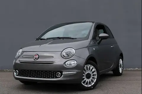 Used FIAT 500 Petrol 2023 Ad 