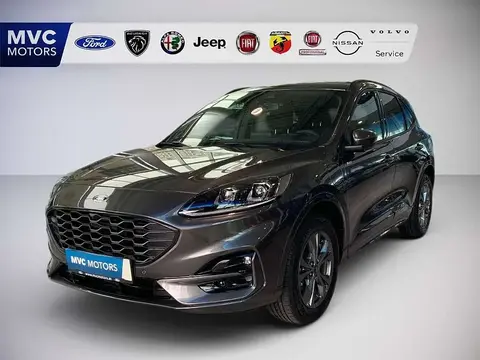 Annonce FORD KUGA Hybride 2022 d'occasion 