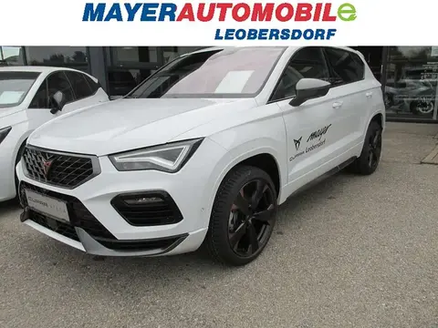 Annonce CUPRA ATECA Essence 2024 d'occasion 