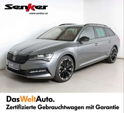 Annonce SKODA SUPERB Diesel 2024 d'occasion 