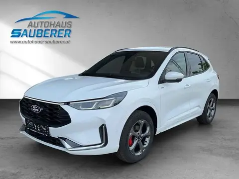 Annonce FORD KUGA Essence 2024 d'occasion 