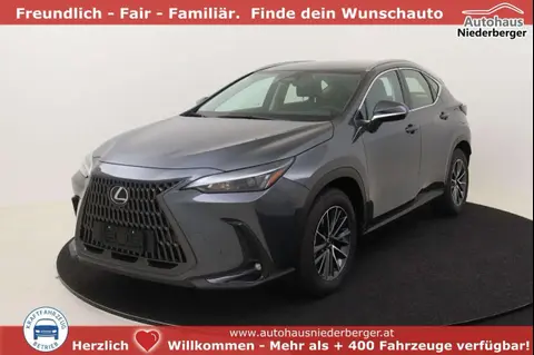 Used LEXUS NX Hybrid 2024 Ad 