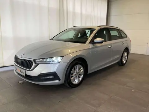 Used SKODA OCTAVIA Diesel 2021 Ad 