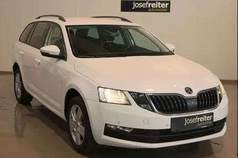 Annonce SKODA OCTAVIA Diesel 2019 d'occasion 