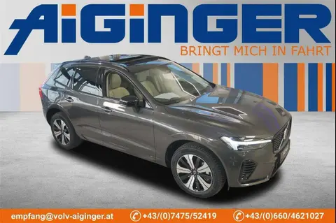 Used VOLVO XC60 Hybrid 2024 Ad 