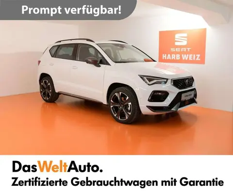 Annonce CUPRA ATECA Essence 2023 d'occasion 