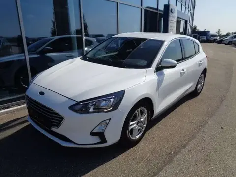 Used FORD FOCUS Petrol 2019 Ad 