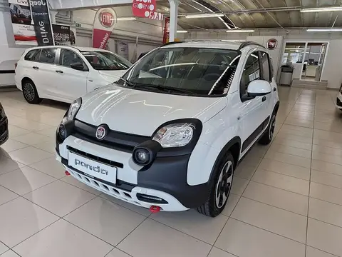 Annonce FIAT PANDA Essence 2024 d'occasion 