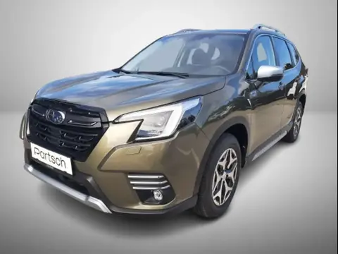 Annonce SUBARU FORESTER Hybride 2024 d'occasion 