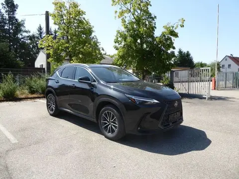 Used LEXUS NX Hybrid 2024 Ad 