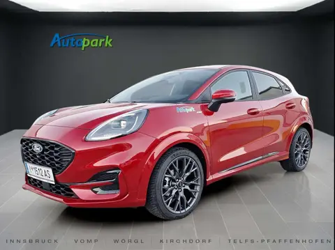 Annonce FORD PUMA  2024 d'occasion 