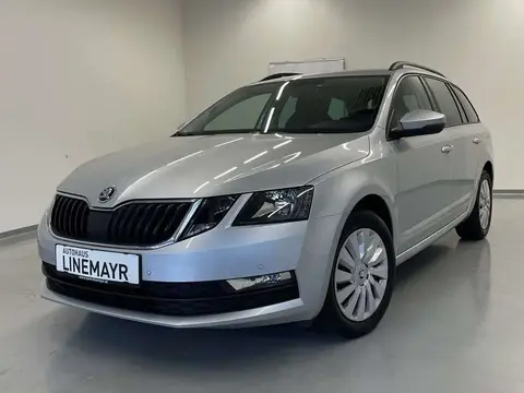 Annonce SKODA OCTAVIA Diesel 2019 d'occasion 