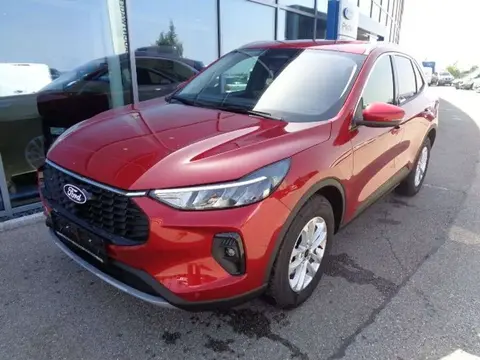 Annonce FORD KUGA Essence 2024 d'occasion 