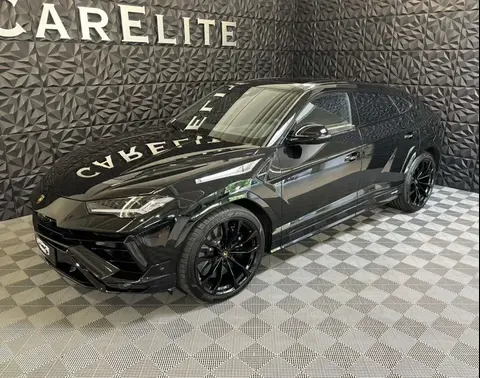 Annonce LAMBORGHINI URUS Essence 2024 d'occasion 