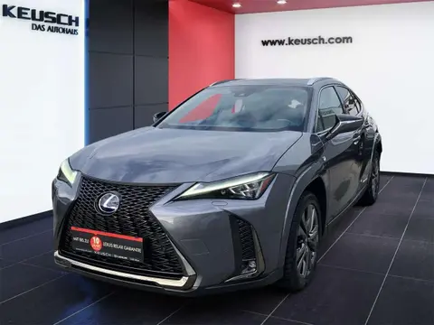 Annonce LEXUS UX Hybride 2022 d'occasion 