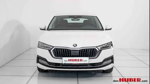 Used SKODA OCTAVIA Diesel 2023 Ad 