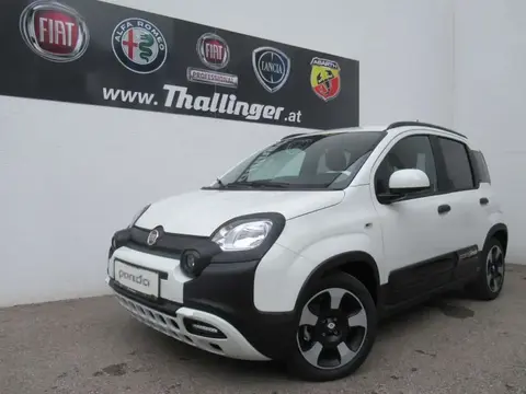 Used FIAT PANDA Petrol 2024 Ad 