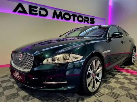 Used JAGUAR XJ Diesel 2014 Ad 