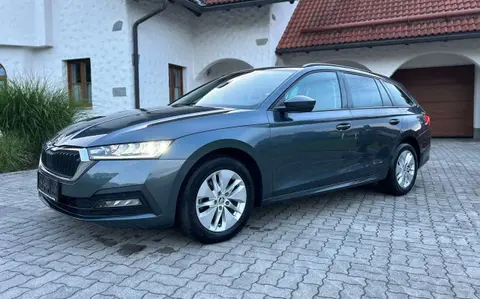 Used SKODA OCTAVIA Diesel 2020 Ad 