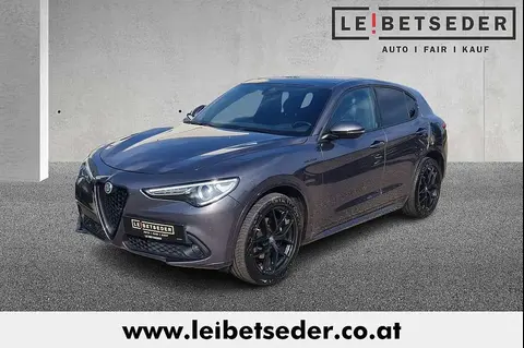 Used ALFA ROMEO STELVIO Diesel 2020 Ad 