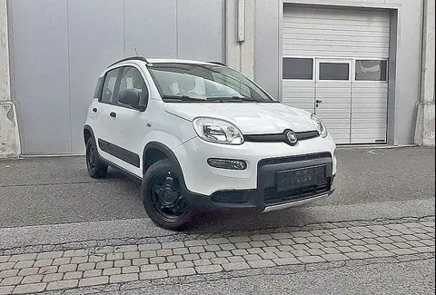 Annonce FIAT PANDA Essence 2017 d'occasion 