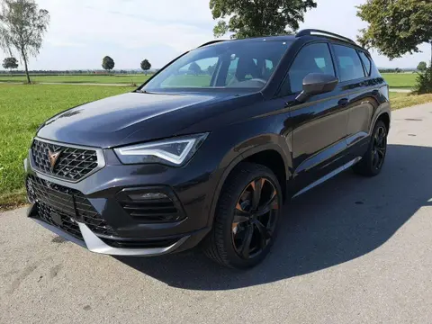 Annonce CUPRA ATECA Essence 2024 d'occasion 