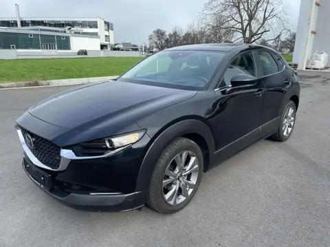 Annonce MAZDA CX-30 Essence 2020 d'occasion 