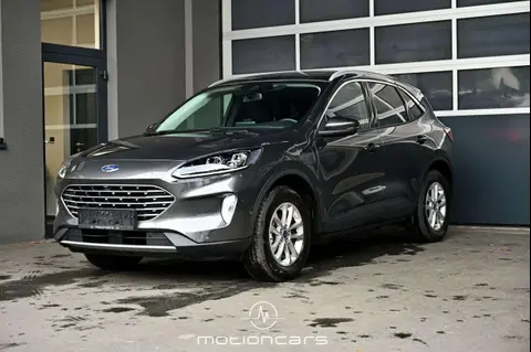 Annonce FORD KUGA Hybride 2023 d'occasion 