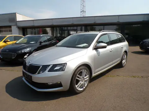 Used SKODA OCTAVIA Diesel 2019 Ad 