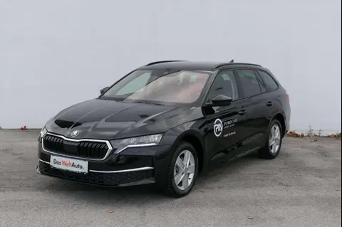 Used SKODA OCTAVIA Diesel 2024 Ad 