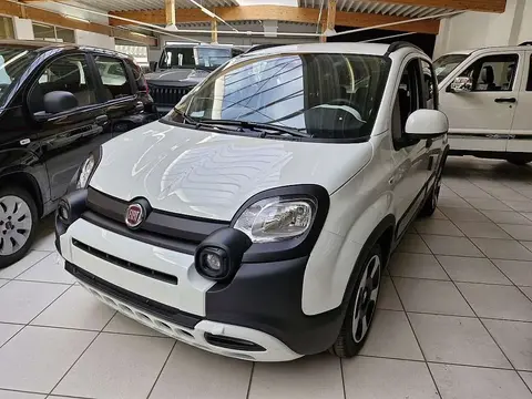 Used FIAT PANDA Petrol 2024 Ad 