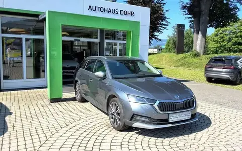 Used SKODA OCTAVIA Diesel 2023 Ad 