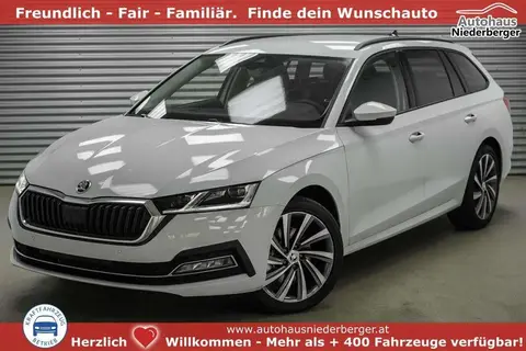 Annonce SKODA OCTAVIA Diesel 2024 d'occasion 