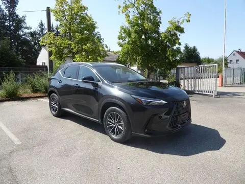 Annonce LEXUS NX Hybride 2024 d'occasion 