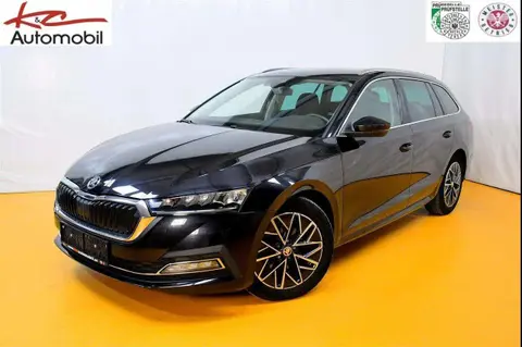 Used SKODA OCTAVIA Diesel 2020 Ad 