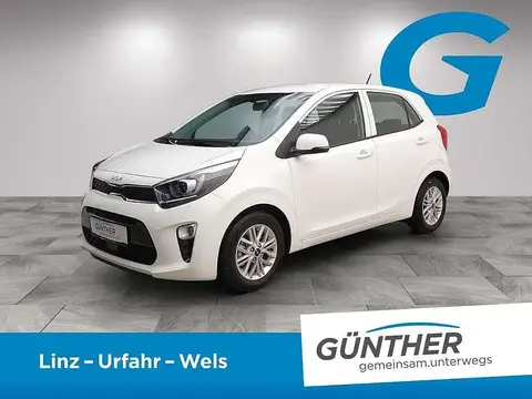 Annonce KIA PICANTO Essence 2023 d'occasion 