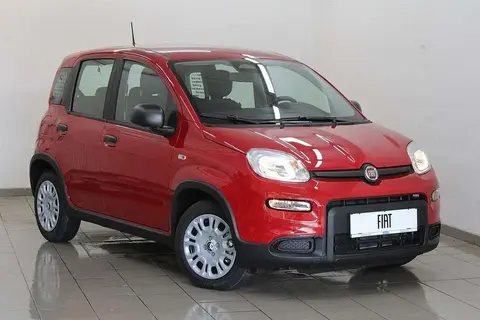 Annonce FIAT PANDA Essence 2024 d'occasion 