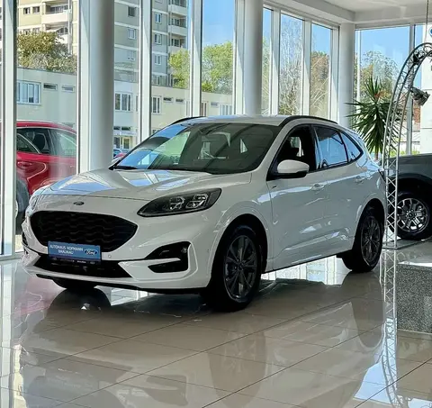 Annonce FORD KUGA Diesel 2024 d'occasion 