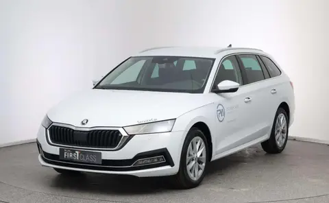 Annonce SKODA OCTAVIA Diesel 2024 d'occasion 