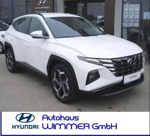 Used HYUNDAI TUCSON Hybrid 2023 Ad 